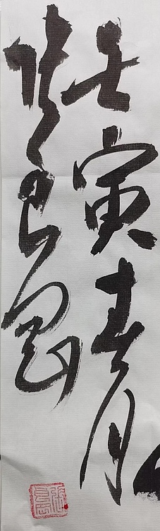 淮河居士 观復