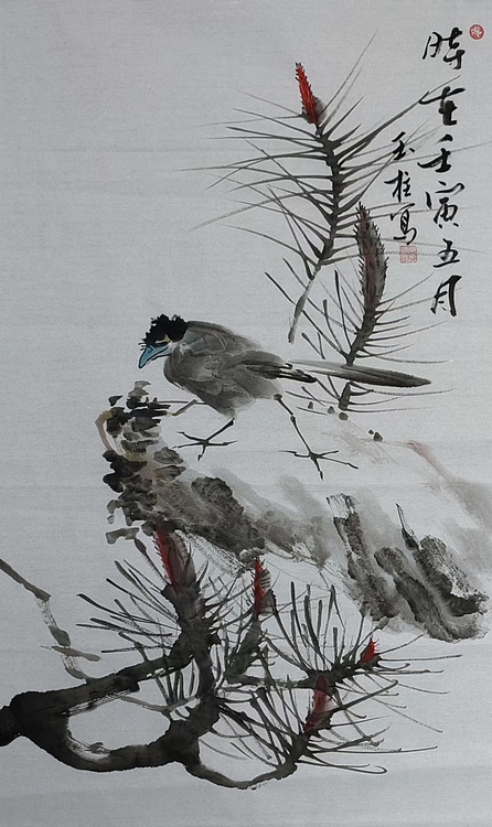 张玉柱 赏
