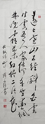 苏永强 中国艺术名家苏永强