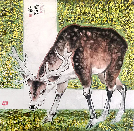 中国美术家协会会员，甘肃省国画院副院长巨潮教授
