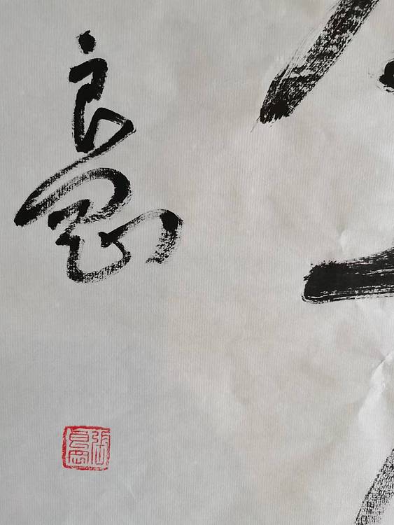 淮河居士 市民公园1