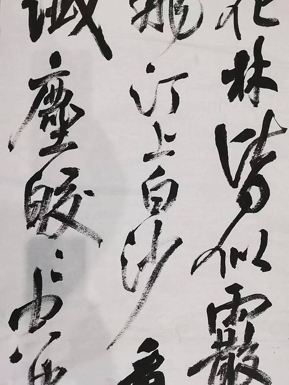 江苏省青年书法家协会会员  淮河居士 海上潮水共潮生