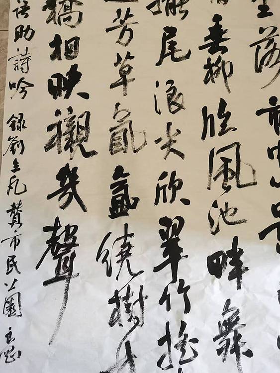 淮河居士 市民公园2