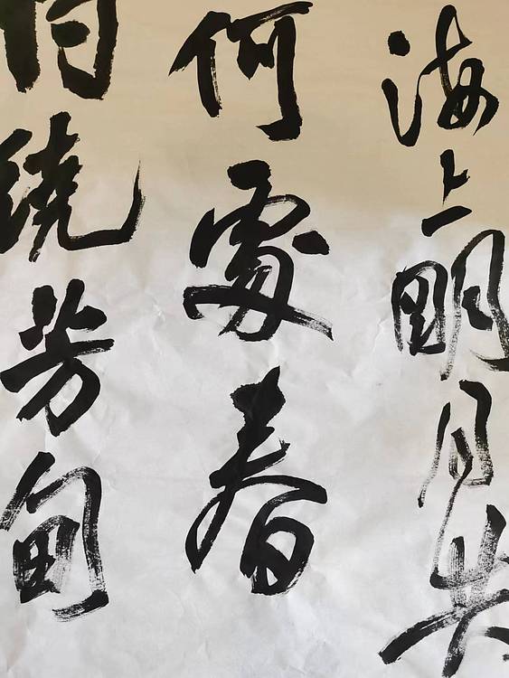 江苏省青年书法家协会会员  淮河居士 海上潮水共潮生
