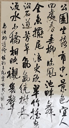 淮河居士 市民公园1