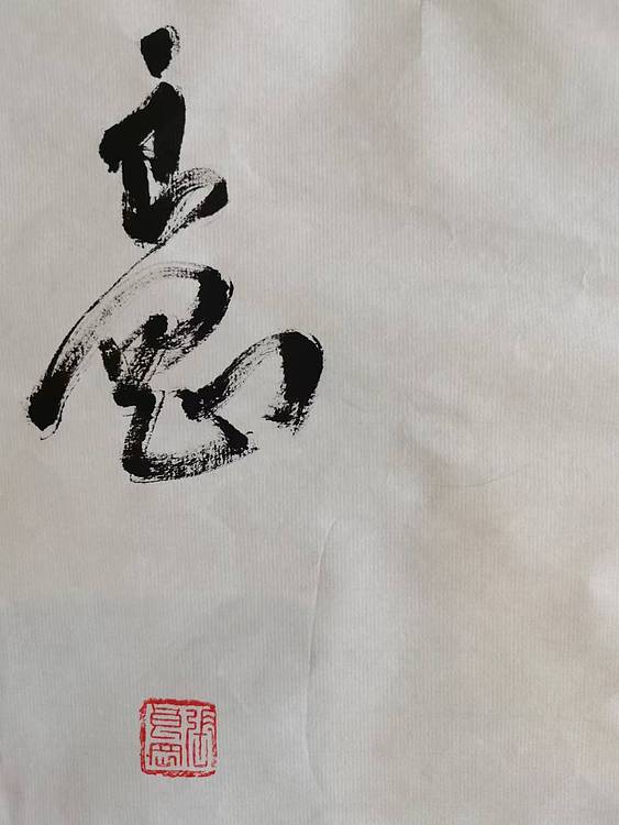 淮河居士 市民公园2