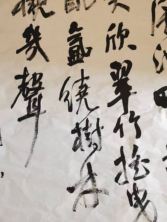 淮河居士 市民公园2