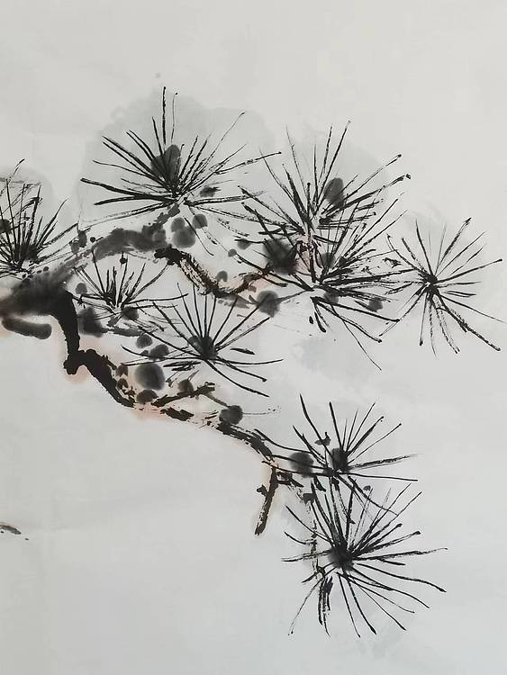 秦广宁 高瞻远瞩