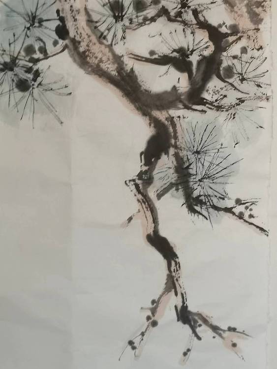 秦广宁 高瞻远瞩