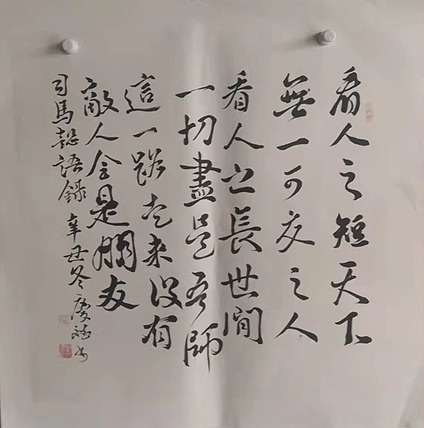 著名书法家 篆刻家 实力派书法家 王庆斌 精品书法