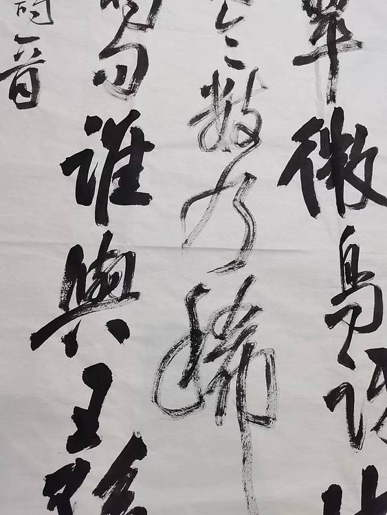 淮河居士 余光先诗一首（二）