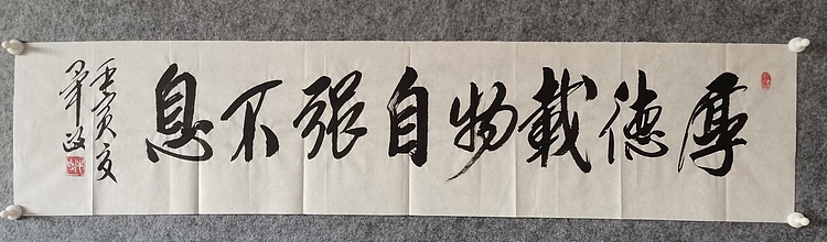 中书协理事毕政书法作品