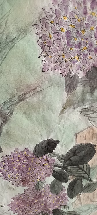 翱翔 景色如画
