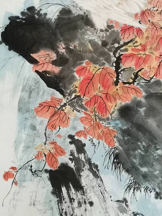 秦广宁 高山雪鹰