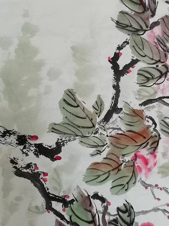 秦广宁 富贵天香