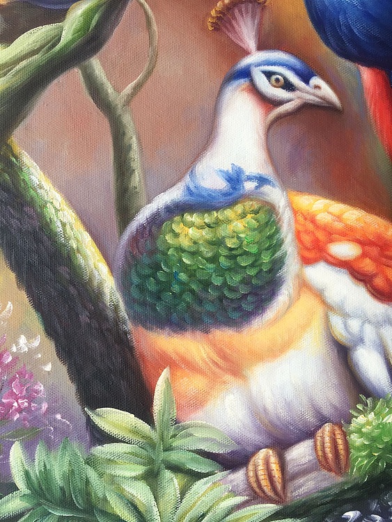 陈一茗 孔雀