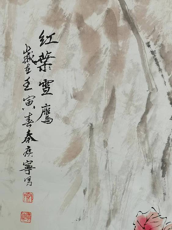 秦广宁 红叶雪鹰