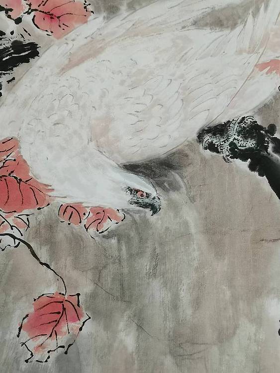 秦广宁 红叶雪鹰