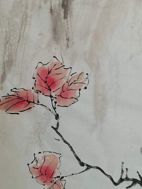 秦广宁 红叶雪鹰
