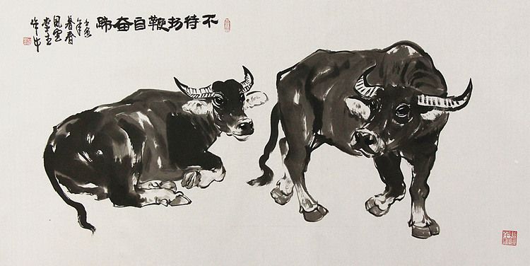 山东美术家协会会员——石永久 精品花鸟