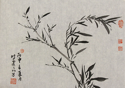 中国艺术研究院硕士 时建良
