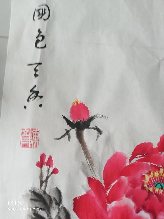 曼雪 国色天香