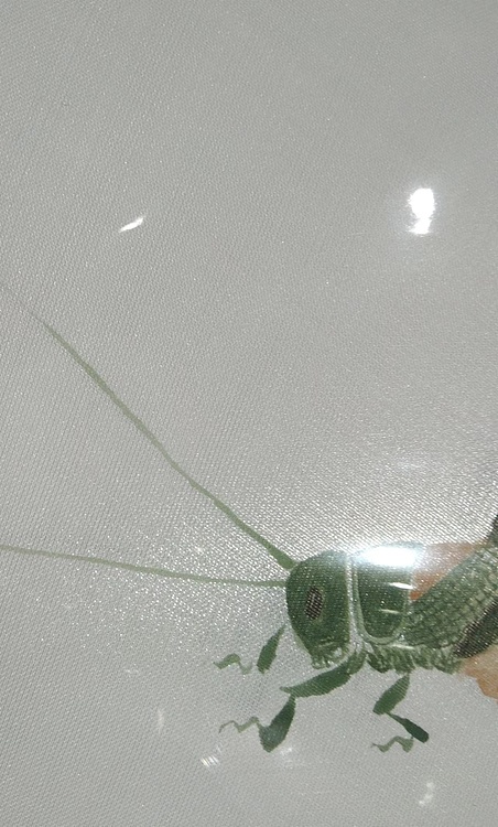耿学知 手绘团扇