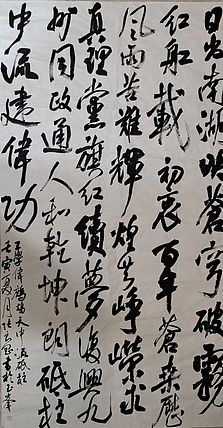 淮河居士 王学伟:夏月