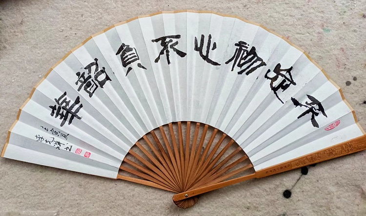 翱翔 紫绣球花香迷人