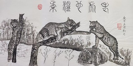 江秋月 老虎也温柔