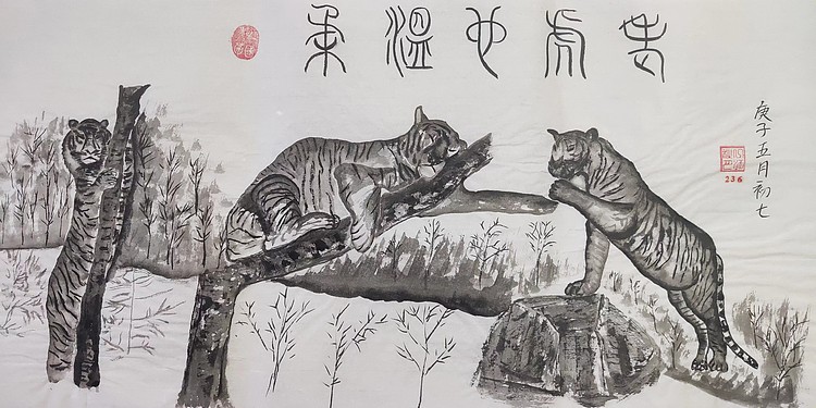 江秋月 老虎也温柔