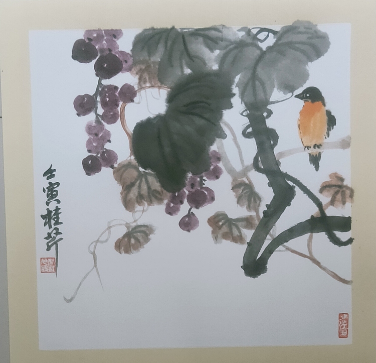 青年书画家 闫桂芹 鸟戏葡萄