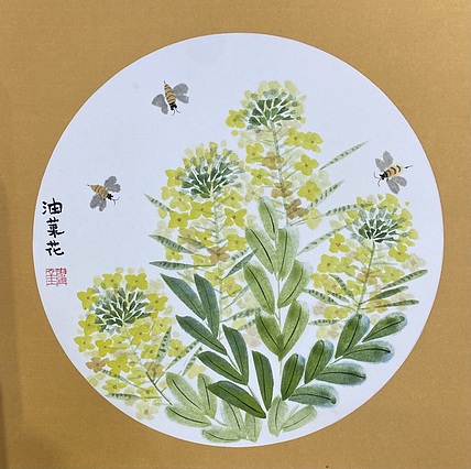 金金酱 《油菜花》