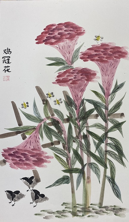 金金酱 鸡冠花