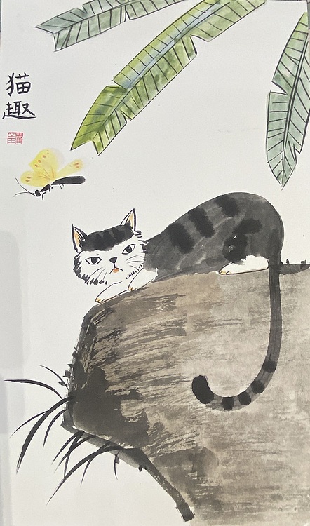 金金酱 猫趣