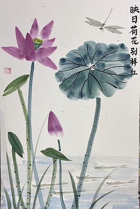 金金酱 映日荷花别样红2