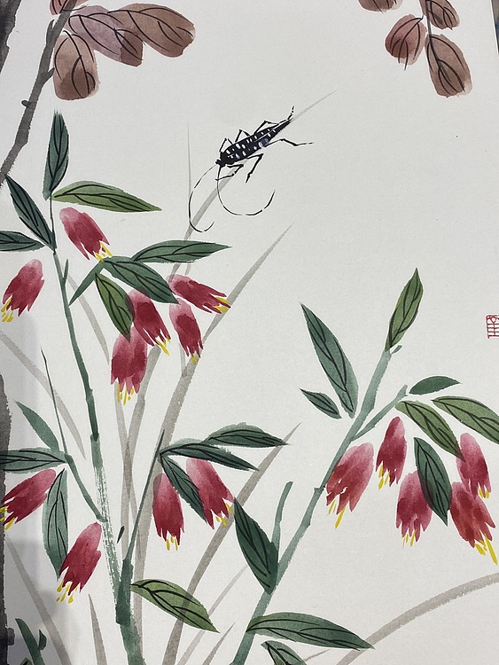 金金酱 天牛
