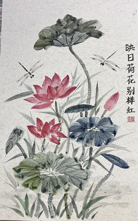 金金酱 映日荷花别样红