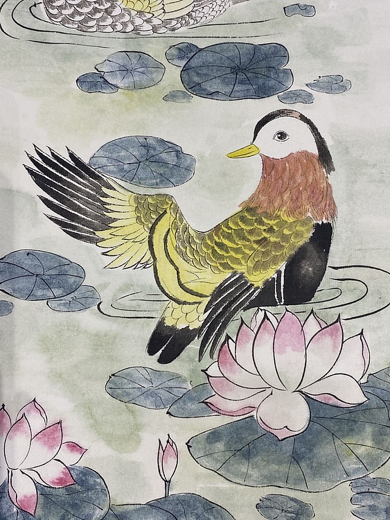 金金酱 鸳鸯戏水