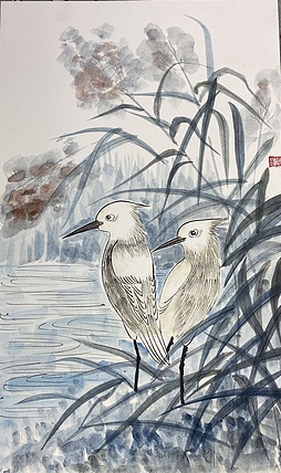 金金酱 白鹭