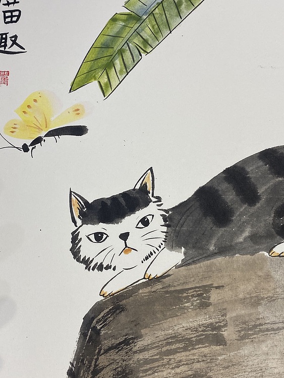 金金酱 猫趣