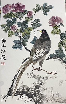 金金酱 锦上添花