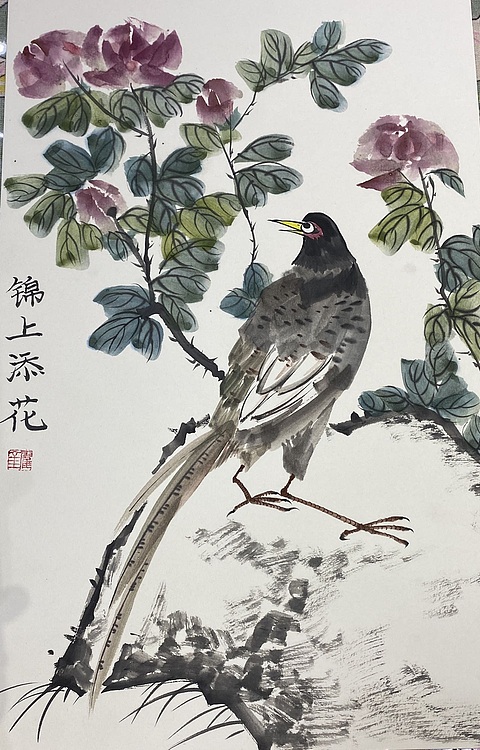 金金酱 锦上添花