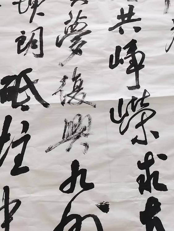 淮河居士 王学伟