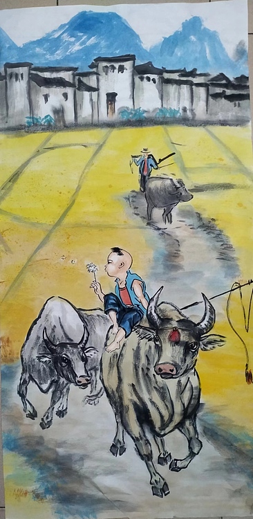 高兴 放牛