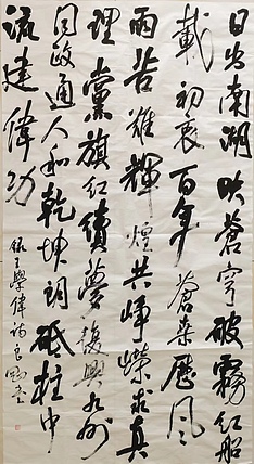 淮河居士 王学伟