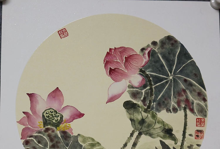 来荣娜 荷花
