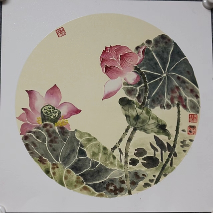 来荣娜 荷花