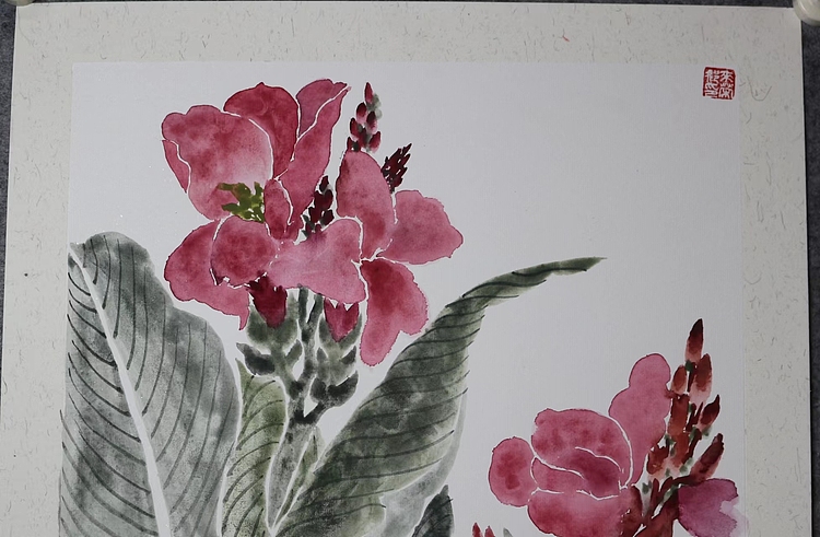 来荣娜 美人蕉