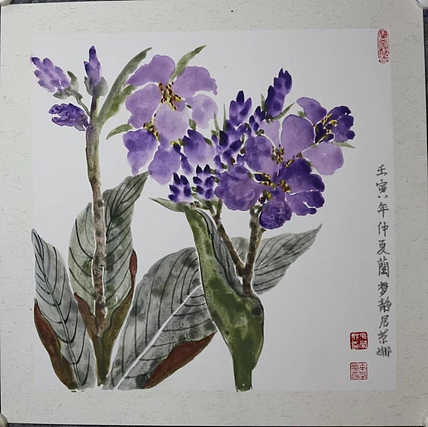 来荣娜 美人蕉